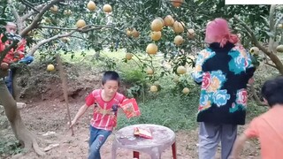 Đại Chiến Bim Bim TiTi Food Comedy 10 15