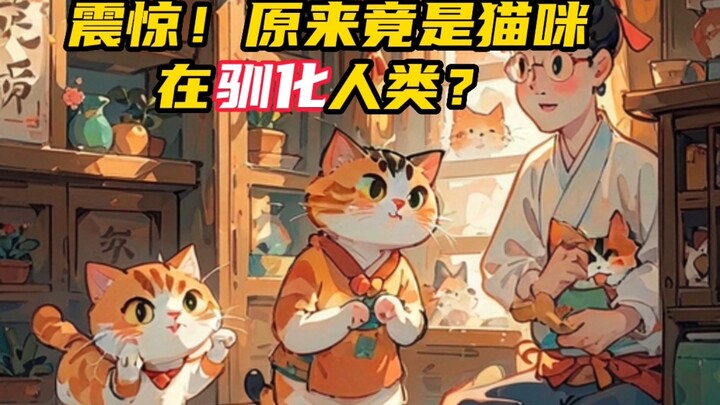 Kinh ngạc: Hóa ra chính mèo mới là loài đang thuần hóa con người?