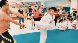 mg taekwondo bats woodbreaking