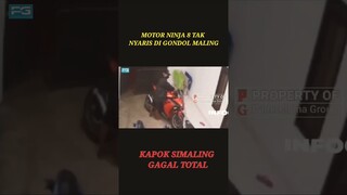 MOTOR NINJA 8 TAK || NYARIS DI GONDOL MALING