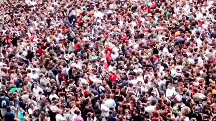 Newton and funny😁🐸