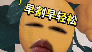 เกี่ยวกับเรื่องที่ฉันไปขลิบหนังหุ้มปลาย