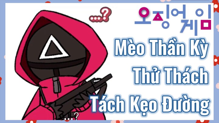 Mèo Thần Kỳ Thử Thách Tách Kẹo Đường