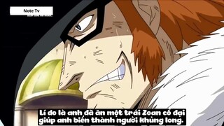 Top 7 Trái Zoan Mạnh Nhất One Piece #27- 5