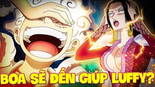 BOA SẼ ĐẾN GIÚP LUFFY?! | NỮ HOÀNG HẢI TẶC BOA SẼ THAM CHIẾN TẠI EGGHEAD?!