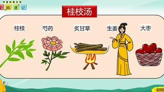 中医经典方剂·全脑速记：第01集(桂枝汤系列-上)