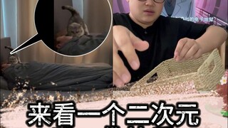 周末的懒觉到底是谁在睡啊
