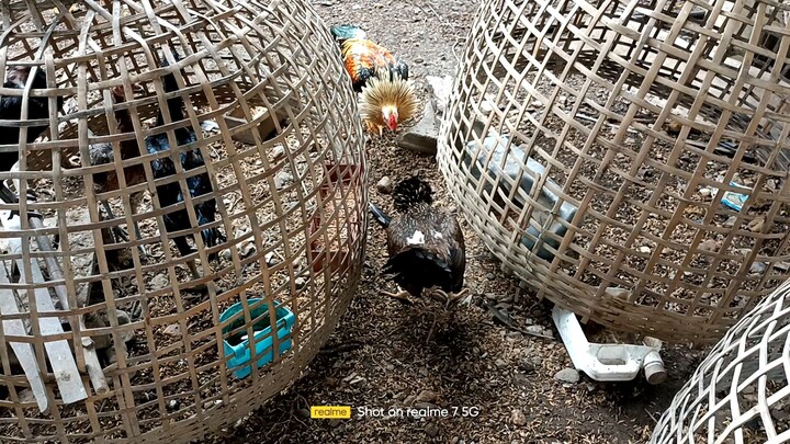 เริ่มสู้