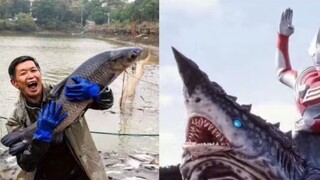 After August 24, 2023