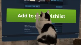 Even cats can't resist the charm of our game :))