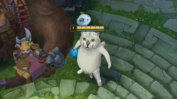 Strange skins added a bear-modified strange cat sand sculpture homemade skin