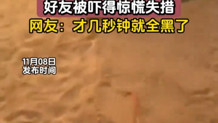 Man pranks his friend with a fake snake, leaving him utterly panicked; netizens: “He went completely