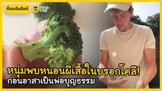 หนุ่มพบหนอนผีเสื้อในบรอกโคลี! ก่อนอาสาเป็นพ่อบุญธรรม | Dog's Clip