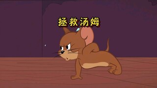 汤姆被布奇误导开始沉迷享乐，杰瑞想尽办法让汤姆恢复正常！