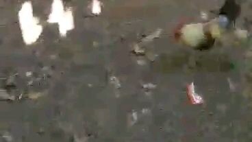 Pitmasters Underground Kings