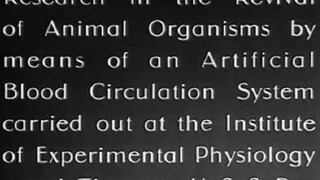 Russian_Scientists_Successfully_Dead_Dog's_head_(1940)