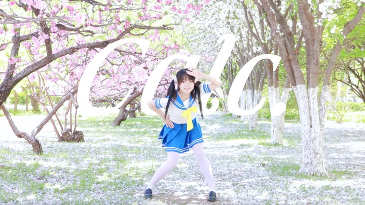 After dancing this “Calc.” in a flower-filled campus 🌸, unlock five flavors of spring!