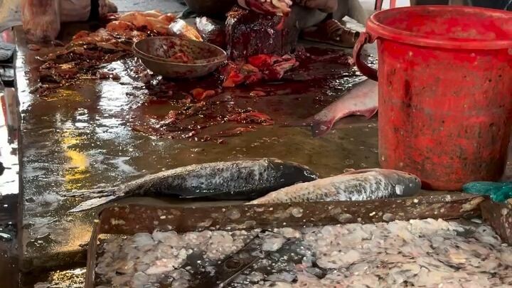 Bangladeshi fish cutter