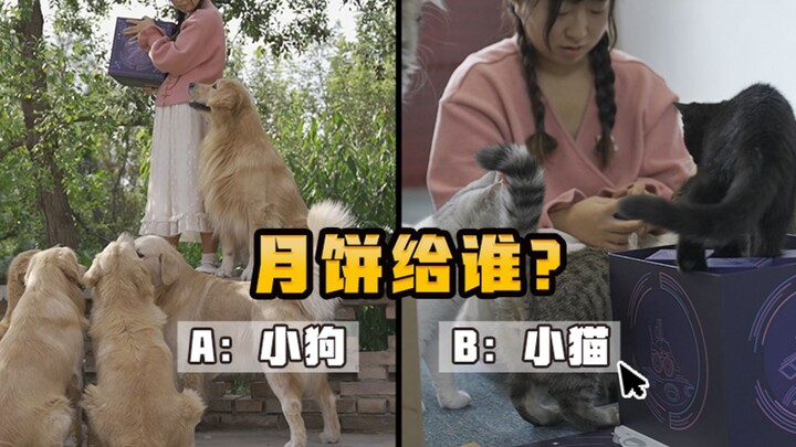 Who didn’t get to enjoy the little TV mooncakes?