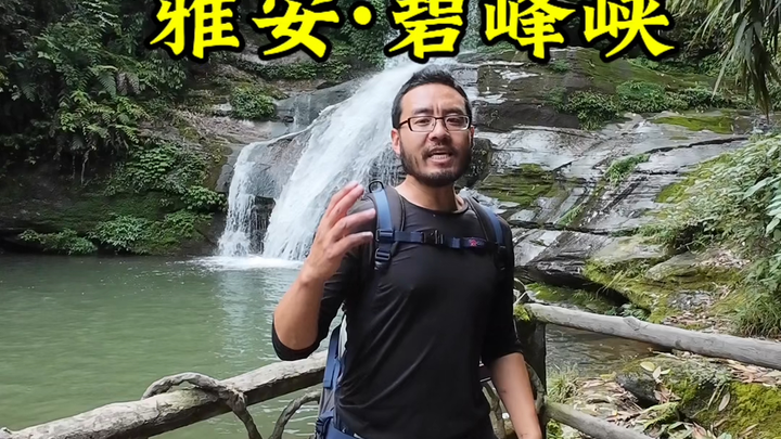 If it’s your first time in Ya’an, you absolutely have to visit Bifeng Gorge to see the giant pandas.