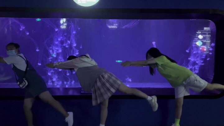 Let’s be “sakana” together at the aquarium!