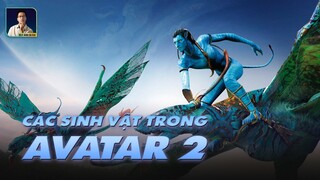 HỆ SINH VẬT TRONG "AVATAR 2", TULKUN THÔNG MINH, CÓ LOÀI LẤY CẢM HỨNG TỪ THẰN LẰN ĐẦU RẮN PLESIOSAUR