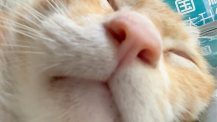 咪的天，真是没完没了