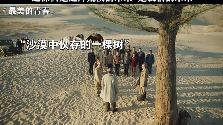 “How important is the last tree standing in the desert? It may just hold the future of this barren l