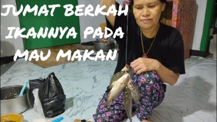 Tak DiSangka Di sini banyak ikan Ganasnya