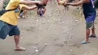 panalo kahit Hindi handa Ang katawan Ng manok