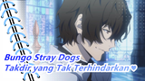 Bungo Stray Dogs | [Cosplay] Kisah Dazai - Takdir yang Tak Terhindarkan ♥