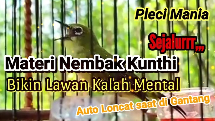 Pleci Nembak KuntHi Sangat Mematikan Bikin Lawan Panikkk!!!