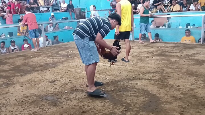 💪💪💪