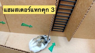 แฮมสเตอร์แหกคุก3