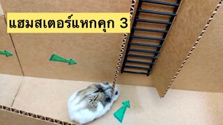 แฮมสเตอร์แหกคุก3