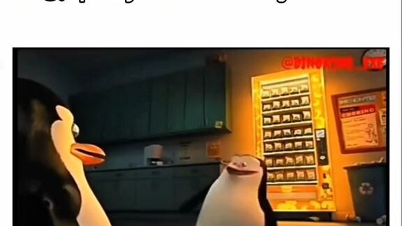 Siap Kapten 🗿😂🤣