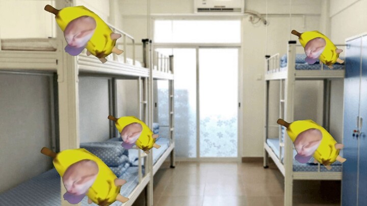 Sehari dalam Kehidupan Mahasiswa