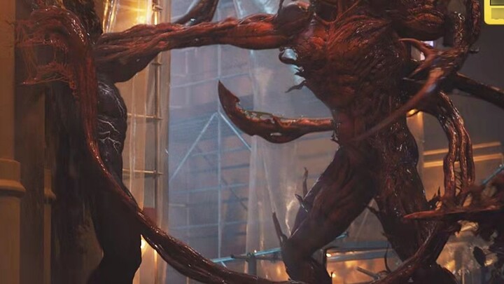 Venom VS Carnage, 4K 60 เฟรม แม้ว่าพวกเขาจะเป็นคนร้ายทั้งหมด แต่เขาดีกว่าในแง่ของพลัง