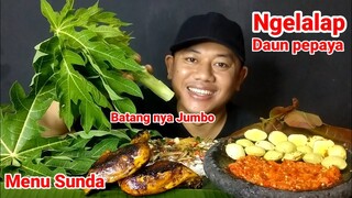 MAKAN LALAPAN BATANG PEPAYA MENTAH JENGKOL MUDA MENTAH IKAN ASIN AYAM BAKAR SAMBAL TERASI #mukbang