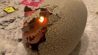 Dinosaur eggs hatching right before our eyes, have children’s toys developed to this point now?