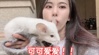 We’ve got a new family member! My boyfriend was so shocked he almost jumped out of his skin!