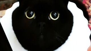 The God of Darkness truly lives up to his reputation! I admit defeat!