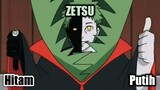 Zetsu Hitam Putih - Penjelasan Kekuatan