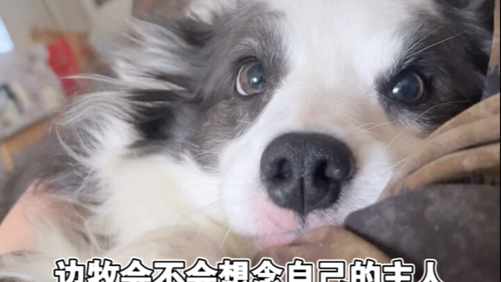 Don't know what I'm expecting…