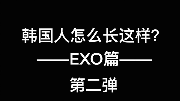 [EXO] How Do Koreans Look Like This? – The EXO Chapter, Part 2: A Guide to Recognizing the Members