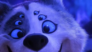 The Husky with six eyes and six paws is so cute!