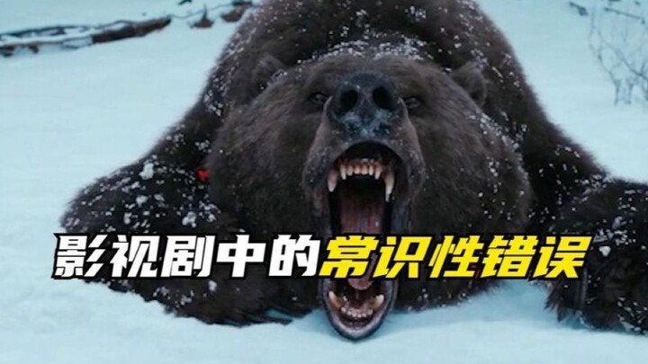 الأخطاء الشائعة في الأفلام والمسلسلات: لا فائدة من تظاهر الدب بالموت، ومن المستحيل أن يقتل نفسه عن ط