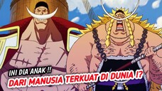 MENGERIKAN !! INI DIA SOSOK PENERUS SHIROHIGE DI DUNIA ONE PIECE - One piece terbaru