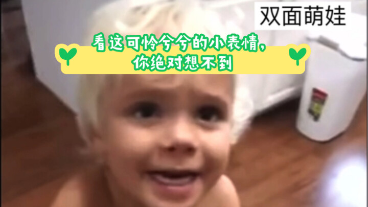 Look at that adorable, pitiful little expression—you’d never guess he’s actually a double-faced cuti