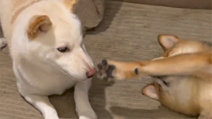 Mom's big boy (this is hardly going to take a bath)